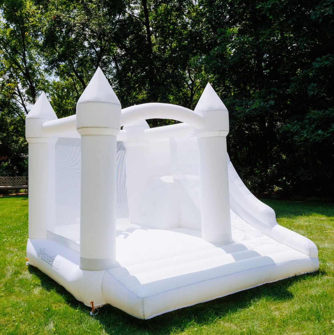 DayDreamer Castle Cloud Bounce House