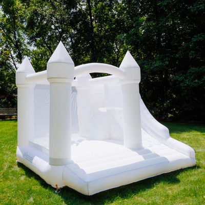 DayDreamer Castle Cloud Bounce House