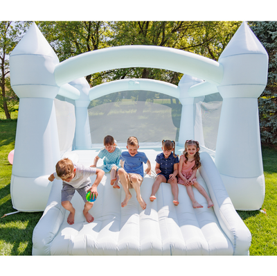 DayDreamer Party Castle Mist Bounce House