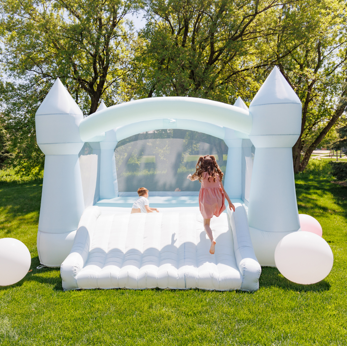DayDreamer Party Castle Mist Bounce House